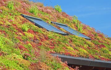 Cornwall living roof systems