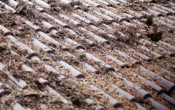 Cornwall roof cleaning companies