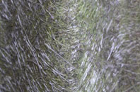 Cornwall fibreglass roof work